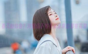 春天的约会？河豚抚子在图库分享的那些花絮