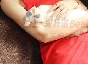 青豆客 – 原图炫技，宋梓诺Bee的海边分享让我意识到我根本不擅长水上活动。